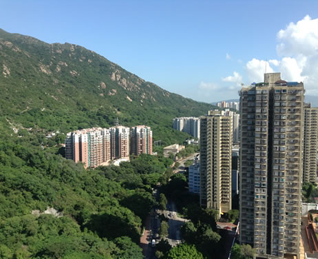在香港生活的初步感受 程序员 互联网 好文分享 第1张